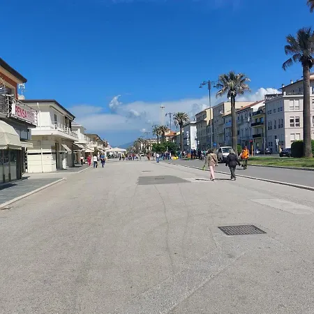 Domus Lilia Viareggio