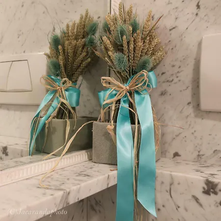 Ferienhaus Domus Lilia Viareggio