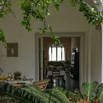 Domus Lilia Tatil Evi *